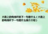 大路上的電線桿的下一句是什么（大路上的電線桿下一句是什么簡介介紹）