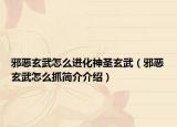 邪惡玄武怎么進(jìn)化神圣玄武（邪惡玄武怎么抓簡介介紹）