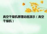 真空干燥機(jī)原理動畫演示（真空干燥機(jī)）