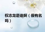 權(quán)志龍是誰(shuí)?。ê苡忻麊幔? /></span></a>
                        <h2><a href=