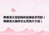 隋唐演義里的楊林是被誰殺死的（隋唐演義楊林怎么死簡介介紹）