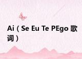 Ai（Se Eu Te PEgo 歌詞）