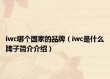 iwc哪個(gè)國家的品牌（iwc是什么牌子簡介介紹）