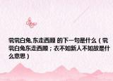 煢煢白兔,東走西顧 的下一句是什么（煢煢白兔東走西顧；衣不如新人不如故是什么意思）
