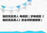 我的完美男人 電視?。ㄇ箅娨晞　段业耐昝滥腥恕返娜扛枨x謝）