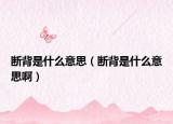 斷背是什么意思（斷背是什么意思?。? /></span></a>
                        <h2><a href=