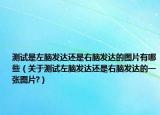 測試是左腦發(fā)達還是右腦發(fā)達的圖片有哪些（關于測試左腦發(fā)達還是右腦發(fā)達的一張圖片?）