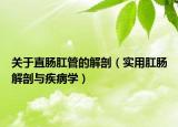 關(guān)于直腸肛管的解剖（實(shí)用肛腸解剖與疾病學(xué)）