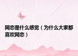網(wǎng)戀是什么感覺（為什么大家都喜歡網(wǎng)戀）