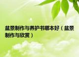 盆景制作與養(yǎng)護(hù)書哪本好（盆景制作與欣賞）