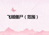 飛賊僵尸（范圍）