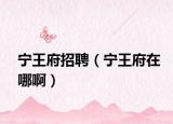 寧王府招聘（寧王府在哪啊）