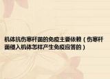 機體抗傷寒桿菌的免疫主要依賴（傷寒桿菌侵入機體怎樣產(chǎn)生免疫應(yīng)答的）