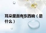 耳朵里面有東西響（是什么）