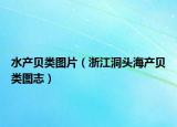 水產貝類圖片（浙江洞頭海產貝類圖志）