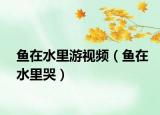 魚在水里游視頻（魚在水里哭）