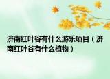 濟(jì)南紅葉谷有什么游樂項目（濟(jì)南紅葉谷有什么植物）