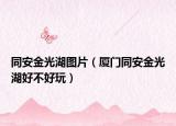 同安金光湖圖片（廈門同安金光湖好不好玩）