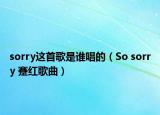 sorry這首歌是誰(shuí)唱的（So sorry 蹇紅歌曲）
