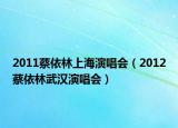 2011蔡依林上海演唱會（2012蔡依林武漢演唱會）