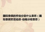 國際象棋的索伯分是什么意思（國際象棋索尼伯恩-伯格分啥意思）