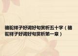 駱駝祥子好詞好句賞析五十字（駱駝祥子好詞好句賞析第一章）