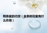 荊條蜜的功效（金條樹花蜜有什么作用）