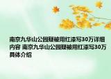 南京九華山公園疑被用紅漆寫30萬詳細(xì)內(nèi)容 南京九華山公園疑被用紅漆寫30萬具體介紹
