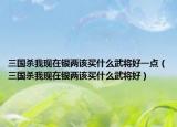 三國殺我現(xiàn)在銀兩該買什么武將好一點(diǎn)（三國殺我現(xiàn)在銀兩該買什么武將好）
