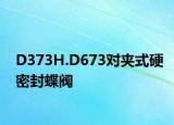 D373H.D673對夾式硬密封蝶閥