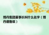 博丹集團(tuán)董事長叫什么名字（博丹德魯茲）