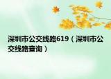 深圳市公交線路619（深圳市公交線路查詢）