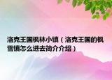 洛克王國楓林小鎮(zhèn)（洛克王國的楓雪鎮(zhèn)怎么進去簡介介紹）