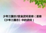 少年三國志2紫金武將姜維（姜維 《少年三國志》中的武將）