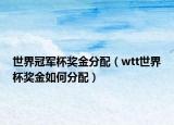 世界冠軍杯獎(jiǎng)金分配（wtt世界杯獎(jiǎng)金如何分配）