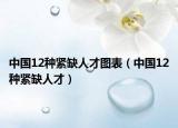 中國12種緊缺人才圖表（中國12種緊缺人才）