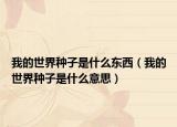 我的世界種子是什么東西（我的世界種子是什么意思）