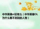 中華英雄ol還有么（中華英雄OL為什么看不到別的人物）