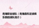青海職業(yè)球隊(duì)（青海森科足球俱樂部的球隊(duì)簡介）