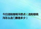 今日洛陽櫻桃溝景點（洛陽櫻桃溝怎么走門票是多少）