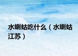 水蝲蛄吃什么（水蝲蛄江蘇）