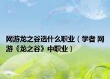 網(wǎng)游龍之谷選什么職業(yè)（學(xué)者 網(wǎng)游《龍之谷》中職業(yè)）
