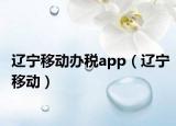 遼寧移動(dòng)辦稅app（遼寧移動(dòng)）