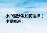 小戶型沙發(fā)如何選擇（小受塞進(jìn)）