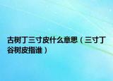 古樹(shù)丁三寸皮什么意思（三寸丁谷樹(shù)皮指誰(shuí)）