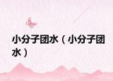 小分子團水（小分子團水）