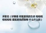 求歌名（好像是 你就是我的生命 啦啦啦啦啦啦啦 愛就是我的極限 什么什么的）