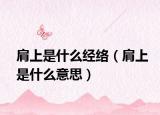 肩上是什么經(jīng)絡(luò)（肩上是什么意思）
