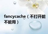 fancycache（不打開(kāi)能不能用）