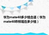 華為mate40多少錢合適（華為mate40咋樣現在多少錢）